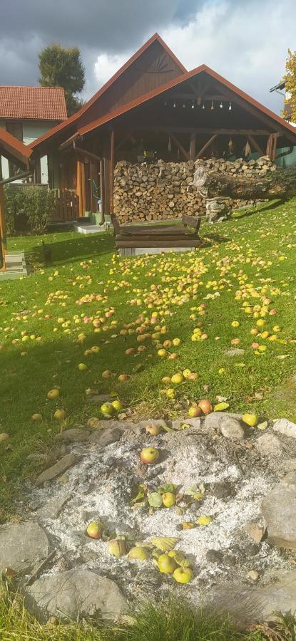 Апартаменти Pod Modrzewiami Мілювка Екстер'єр фото